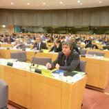 Dr. Milan Zver na seji odbora za kmetijstvo in razvoj podeželja Dr. Milan Zver na seji odbora za kmetijstvo in razvoj podeželja